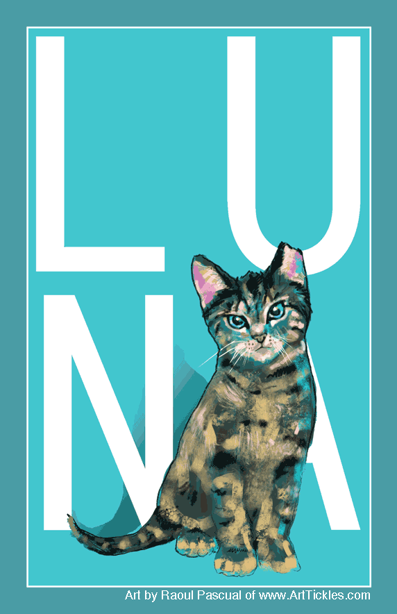 Luna the Cat